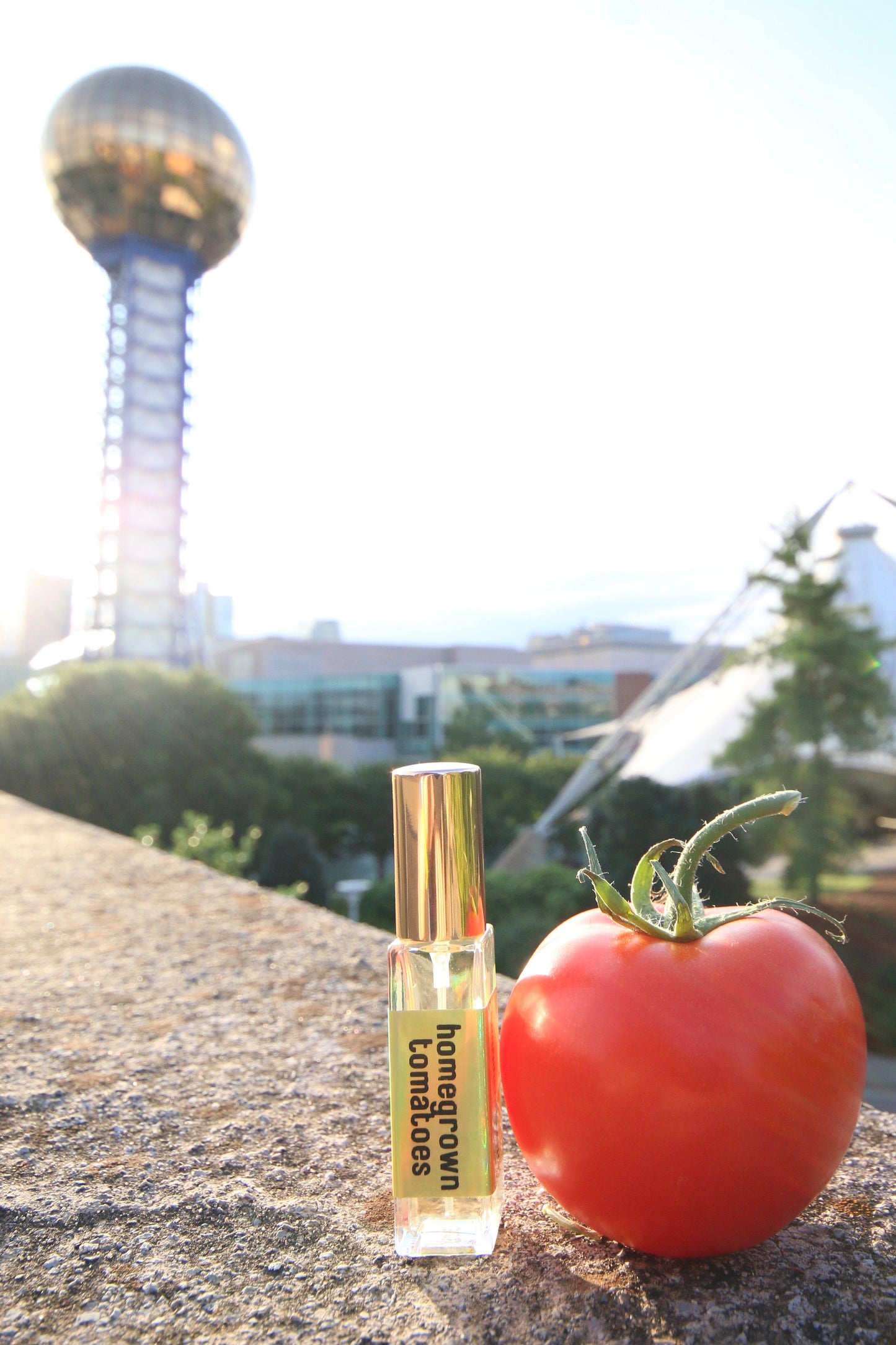 Homegrown Tomatoes